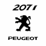 لوازم یدکی پژو 207